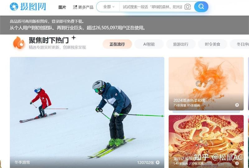 如何下載和使用正版龍水圖片？