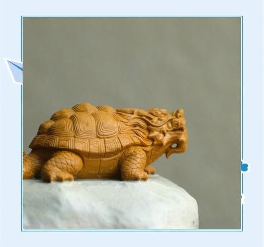 龍龜圖片有哪些風格？