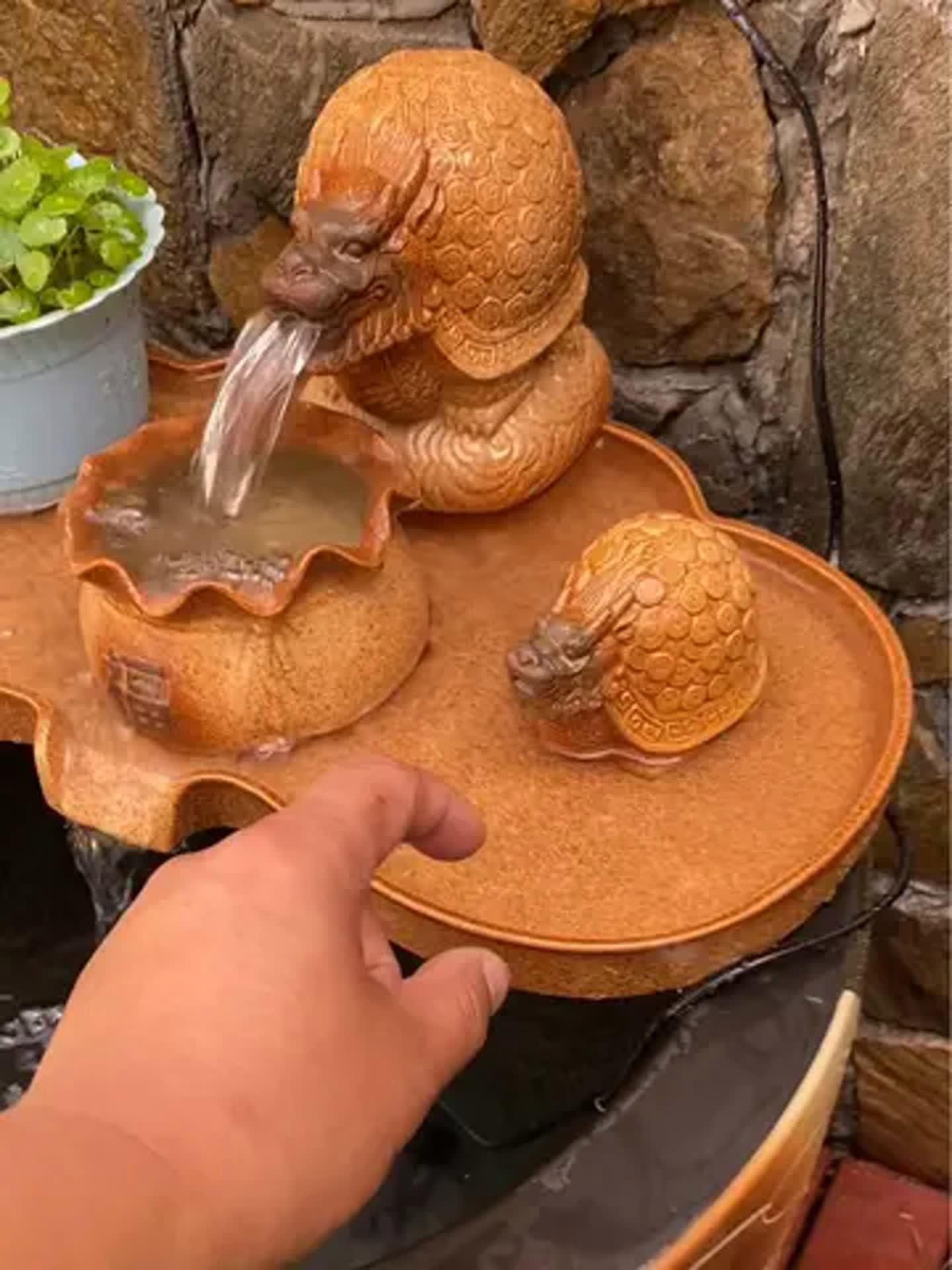龍龜圖片有哪些風格？