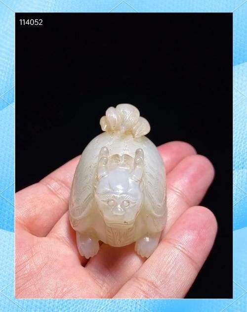 龍龜圖片有哪些風格？