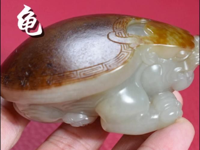 龍龜圖片有哪些風格？