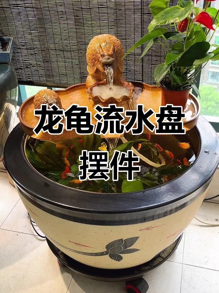 龍龜圖片有哪些風格？