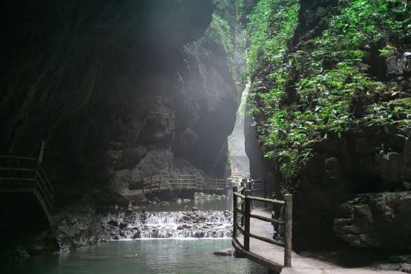 青龍魚業門票多少錢（青龍魚業門票價格是多少）