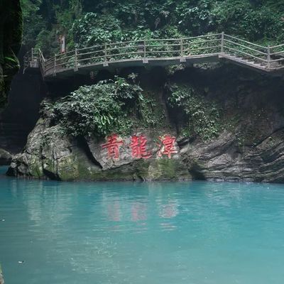 青龍魚業門票多少錢（青龍魚業門票價格是多少）