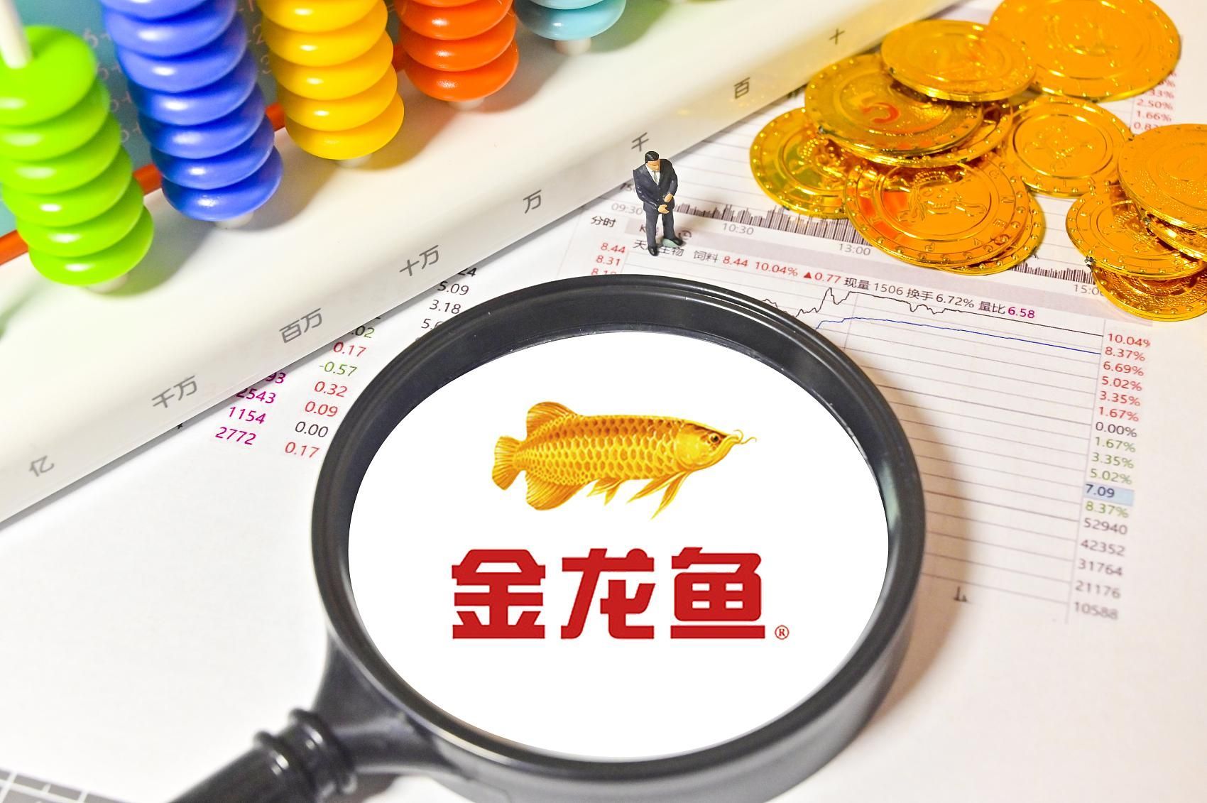 40公分的金龍魚每天喂多少食物（40公分的金龍魚一天吃多少）
