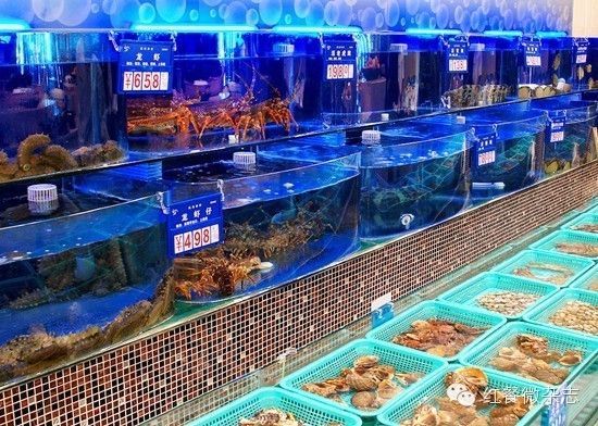 龍魚顏色分類：龍魚什么顏色的貴？揭秘龍魚顏色與價格的關(guān)系
