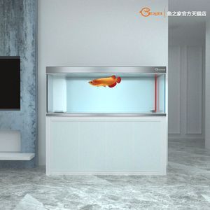 附近有沒有賣金龍魚苗（金龍魚苗批發、促銷、價格大全）