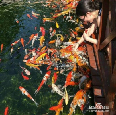 腸炎老是醫不好肛門發紅有物體往外突出暈死