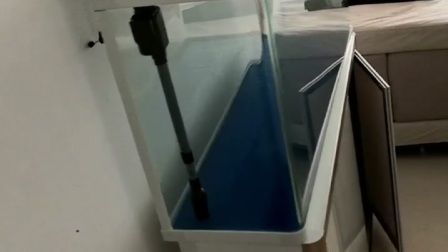 養龍魚用什么缸性價比高的