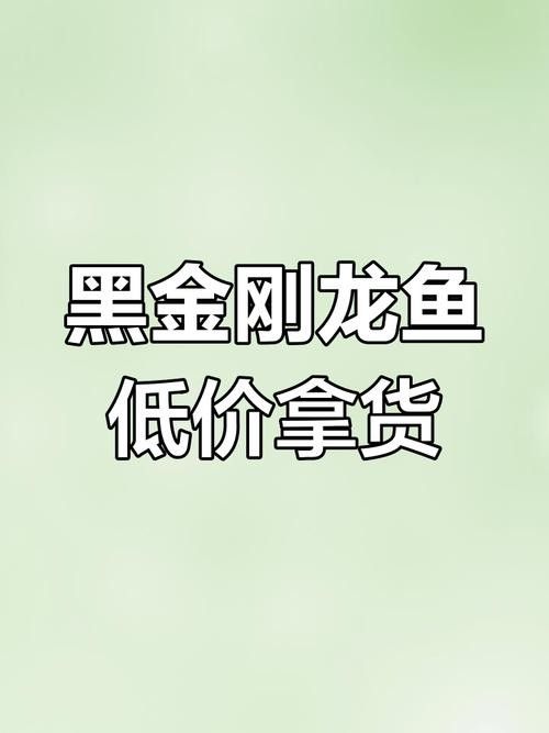 黑金剛龍魚圖片大全