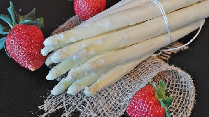 六角龍魚喂什么吃：六角龍魚吃什么食物好得快