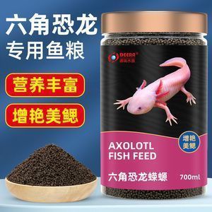 六角龍魚喂什么吃：六角龍魚吃什么食物好得快