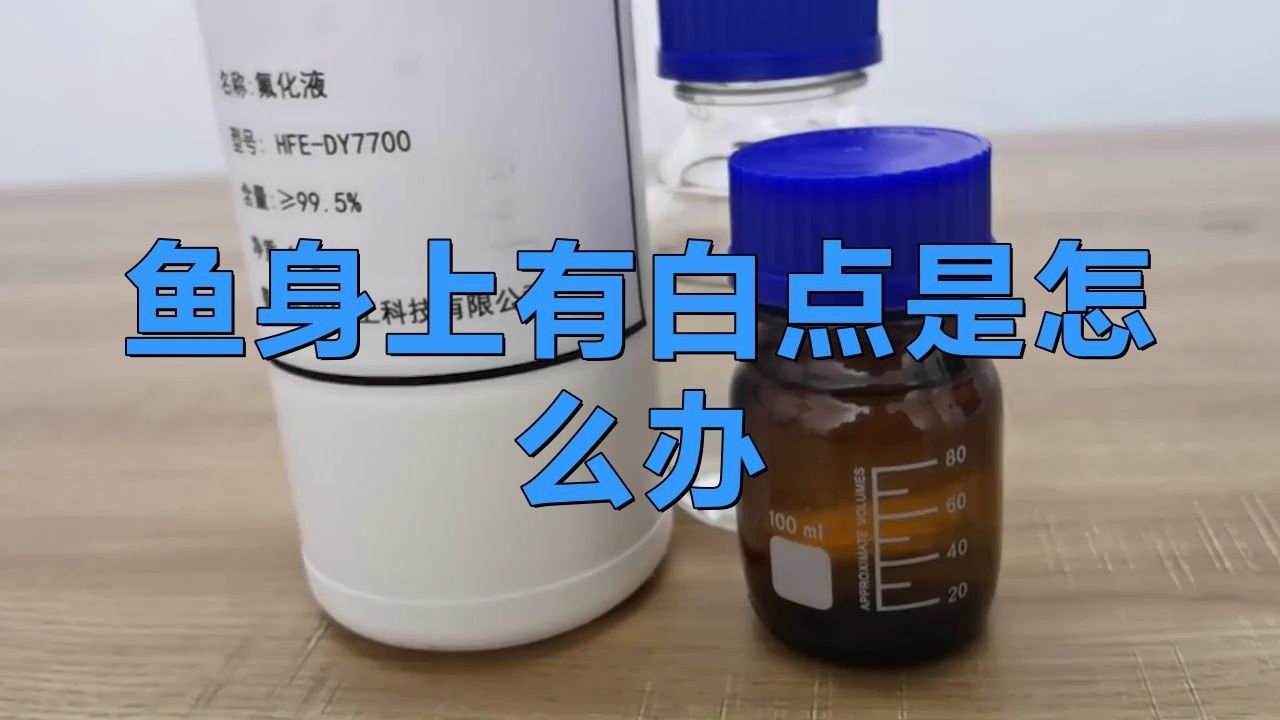 金魚得了白點病會自愈嗎？