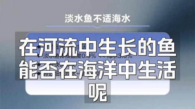 金龍魚淡水魚還是海水魚好養