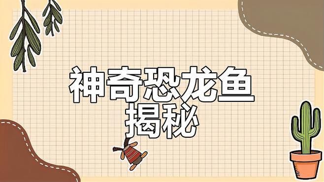 恐龍魚長什么樣子視頻大全