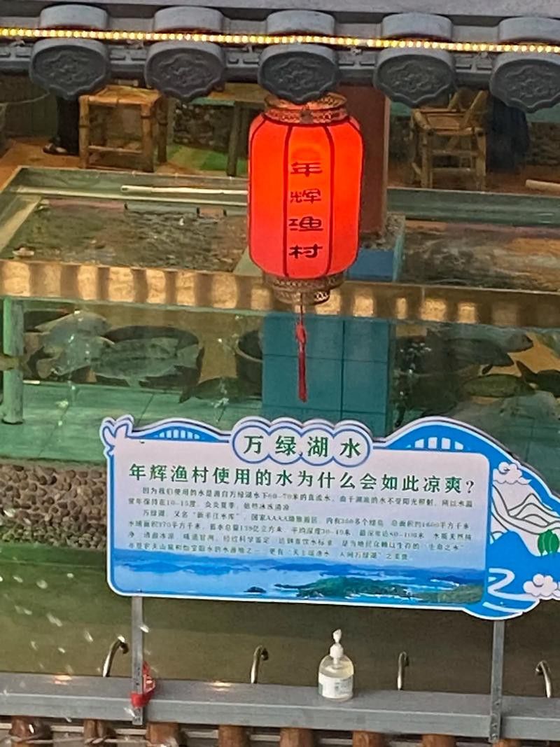 河源鱘龍魚生長環境圖片介紹