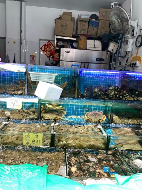 廣州哪里是批發(fā)龍魚(yú)的市場(chǎng)啊圖片