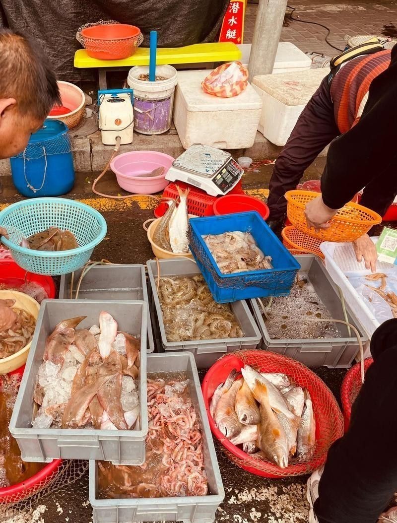 廣州哪里是批發(fā)龍魚(yú)的市場(chǎng)啊圖片