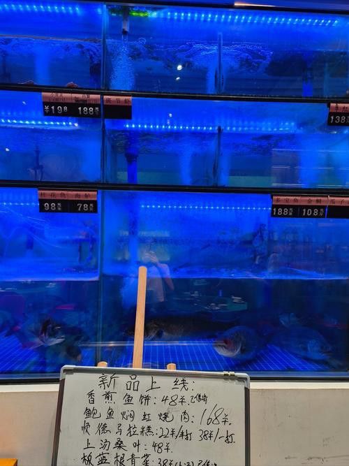 廣州哪里是批發(fā)龍魚(yú)的市場(chǎng)啊圖片