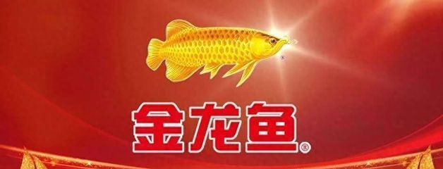 龍魚狀態不好的表現：如何改善龍魚的水質環境，龍魚融鰭現象的處理方法