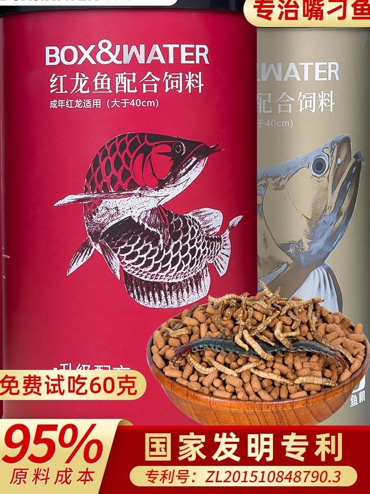 金龍魚怎么養變色快一點