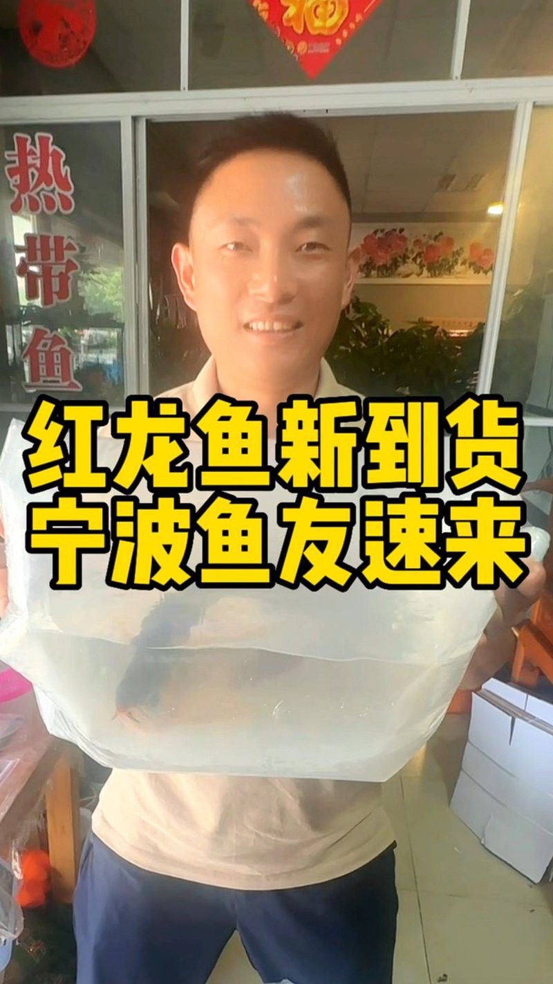 寧波龍魚市場怎么樣啊
