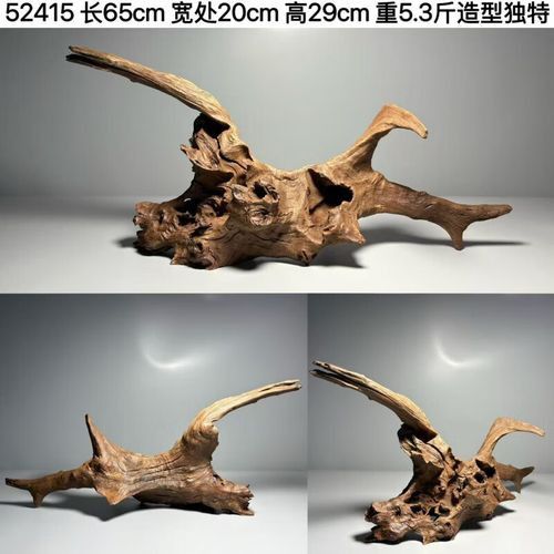 給我一些龍魚缸沉木造景的圖片