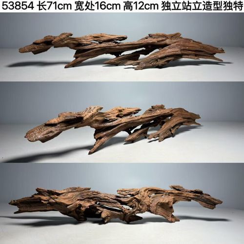 給我一些龍魚缸沉木造景的圖片