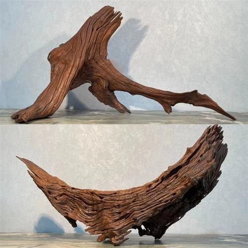 給我一些龍魚缸沉木造景的圖片