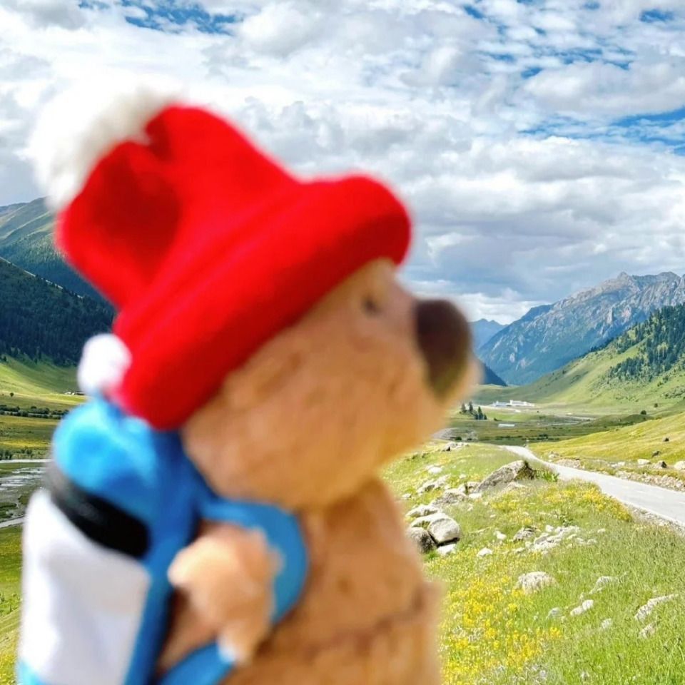 龍魚嘴上長出白色肉球