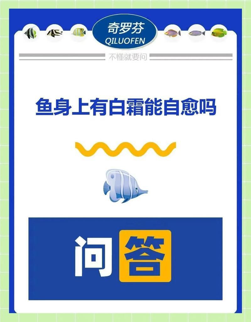 龍魚白霉病會自愈嗎？