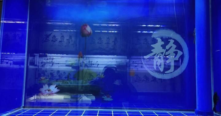 魚缸品種多了會怎么樣嗎，魚缸中魚種增多對家居風水有什么影響？