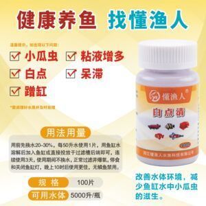 龍魚藥什么牌子的好吃點呢：如何選擇龍魚藥品牌