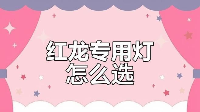 推薦幾款適合紅龍魚的燈光品牌