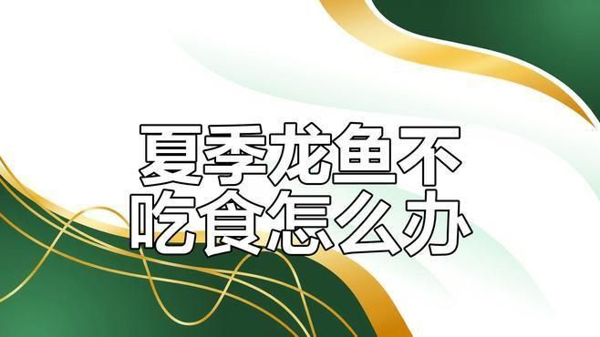 龍魚夏天不吃食會死嗎？