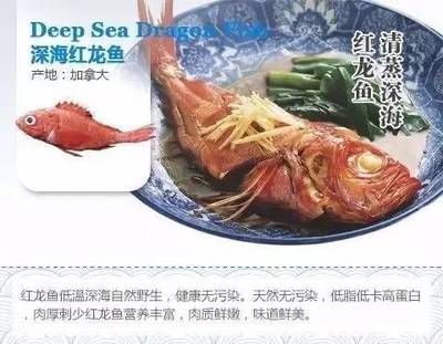 紅龍魚最低能承受多少度的低溫（紅龍魚能承受的最低水溫是多少？）