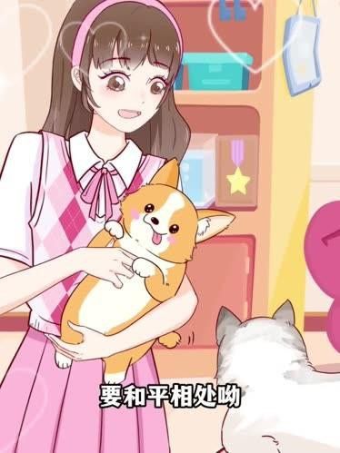 如何訓練龍貓接受貓的存在？