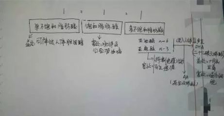金龍魚(yú)1比1的利與弊（金龍魚(yú)1比1調(diào)和油的利與弊）