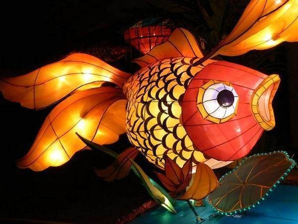 吉印龍魚燈怎么樣，吉印龍魚燈與其他品牌對比吉印龍魚燈的智能控制功能介紹 吉印龍魚燈怎么樣，吉印龍魚燈與其他品牌對比吉印龍魚燈的智能控制功能介紹 龍魚百科 第2張
