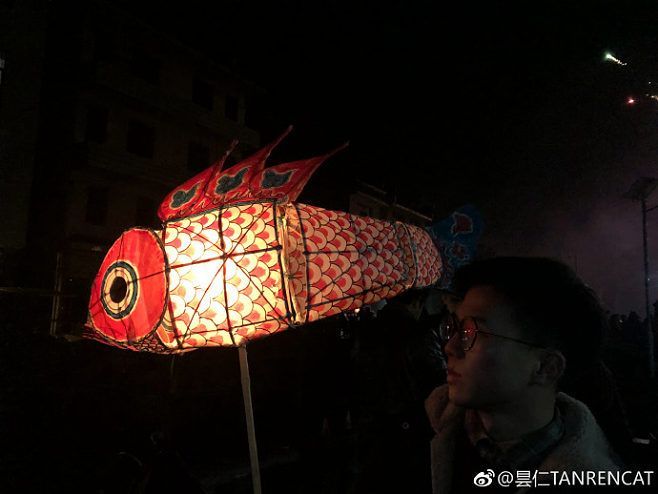 吉印龍魚燈怎么樣，吉印龍魚燈與其他品牌對比吉印龍魚燈的智能控制功能介紹 吉印龍魚燈怎么樣，吉印龍魚燈與其他品牌對比吉印龍魚燈的智能控制功能介紹 龍魚百科 第4張
