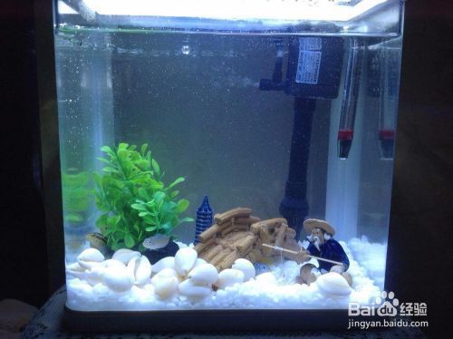 龍魚缸開缸水泵開多大：龍魚缸水泵選型指南