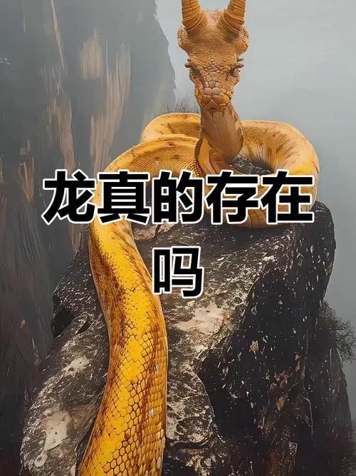 如何找到更多高清真龍圖片？