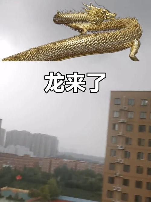 如何找到更多高清真龍圖片？