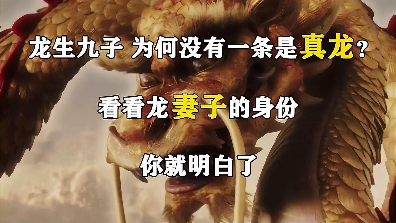 如何找到更多高清真龍圖片？
