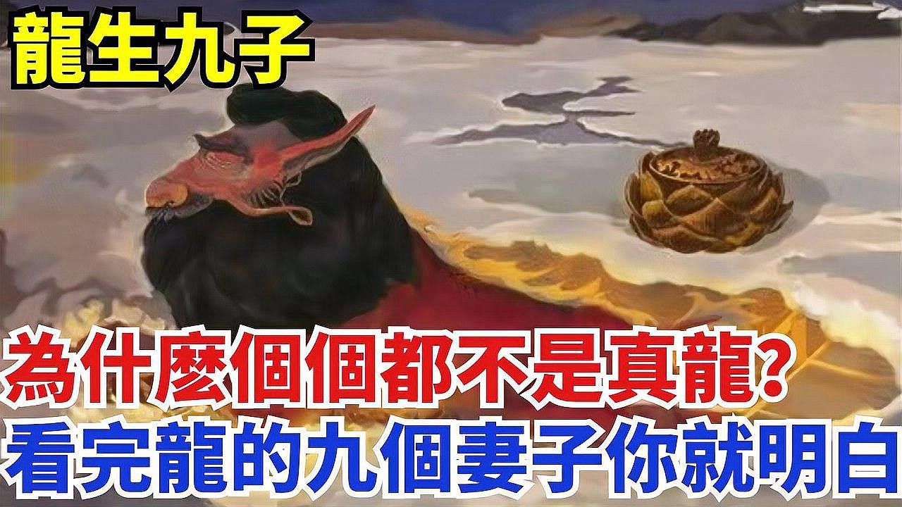 如何找到更多高清真龍圖片？