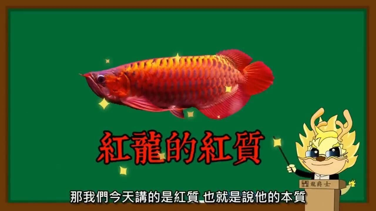 紅龍發色差異原因