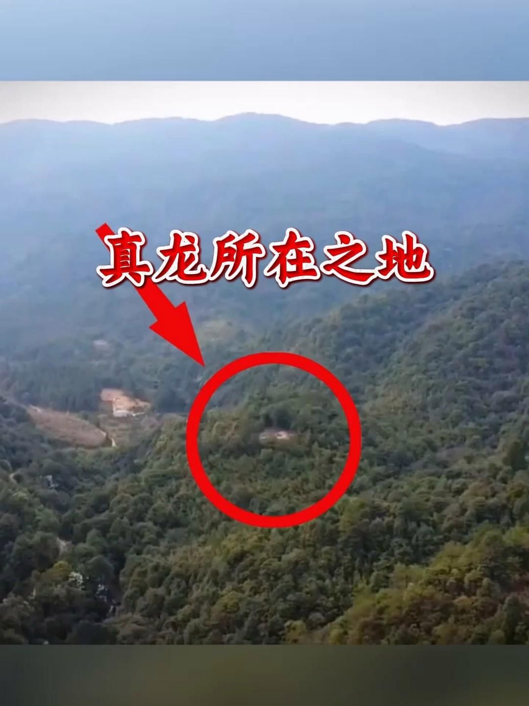 能否提供真龍大地的詳細(xì)介紹？