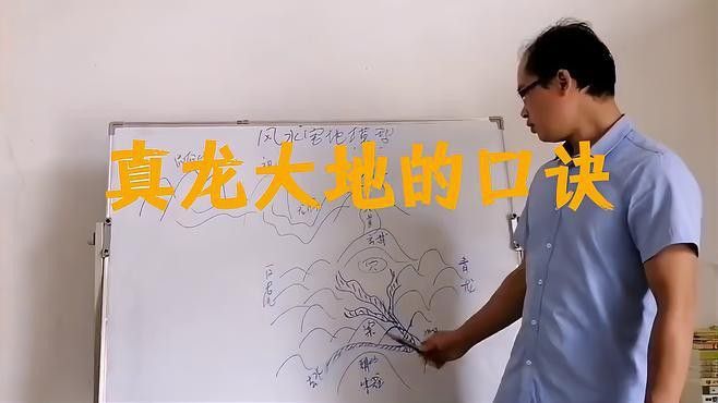 能否提供真龍大地的詳細(xì)介紹？