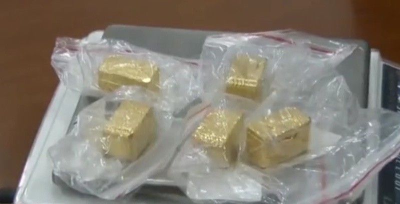 金龍魚產地是哪兒，金龍魚產地的介紹