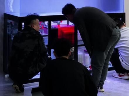 龍魚缸安裝視頻大全圖解